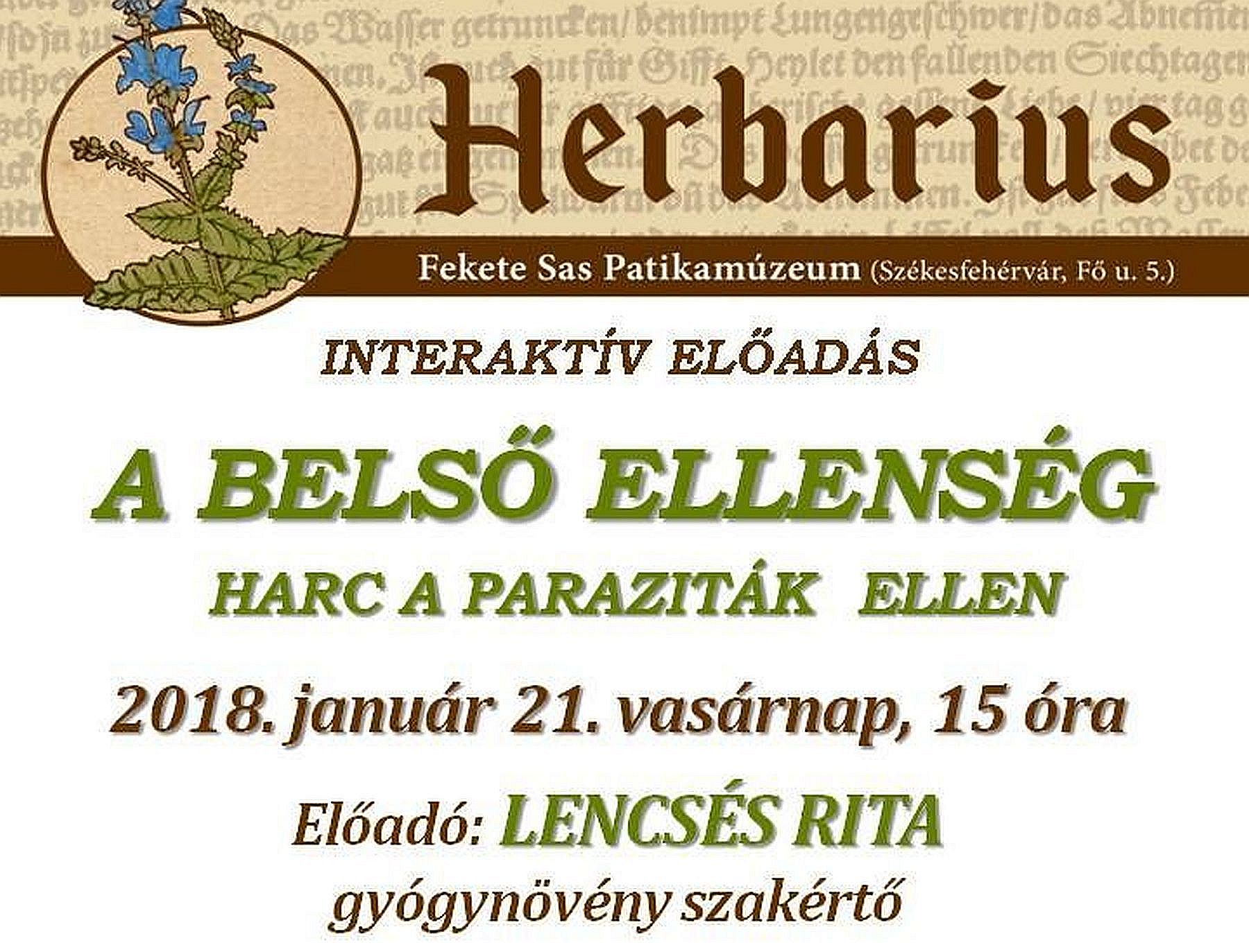 Lencsés Rita gyógynövény-szakértő előadása a Fekete Sas Patikamúzeumban